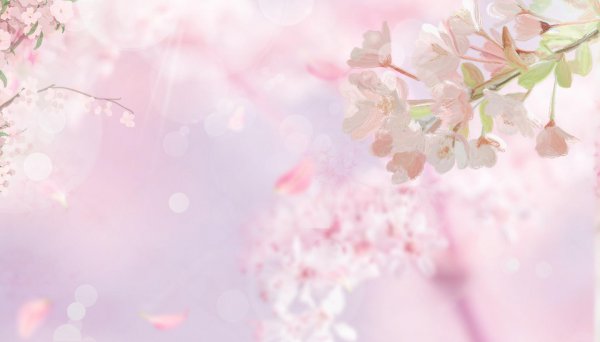 男人动情时眼睛发光