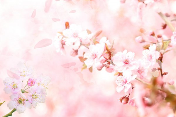 男人动情时眼睛发光