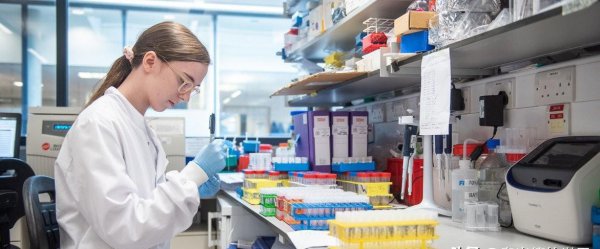 瑞典人口面积各是多少