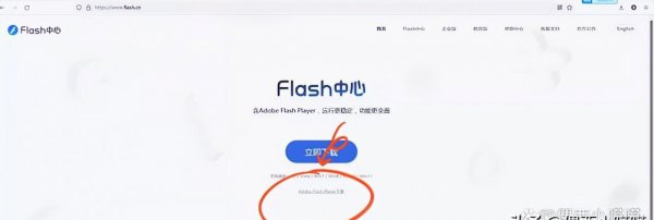 swf文件需要用什么播放器打开