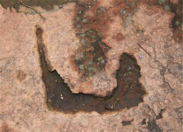 只有一笔的汉字有几个