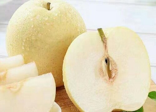 连州水晶梨什么时候成熟