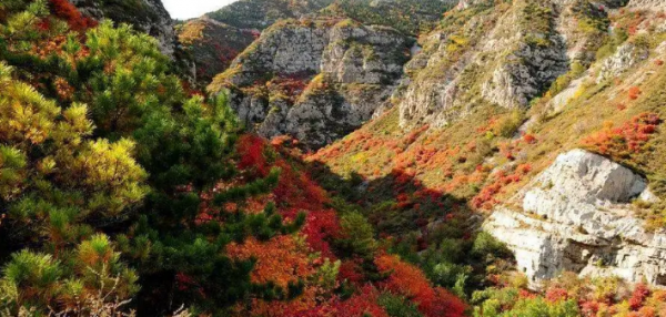 太原附近有什么好的旅游的地方