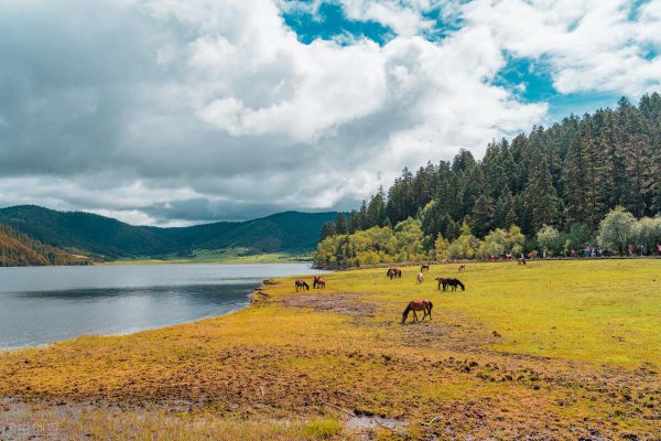 云南最值得去的地方排名