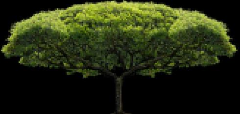 一寸照片尺寸多大