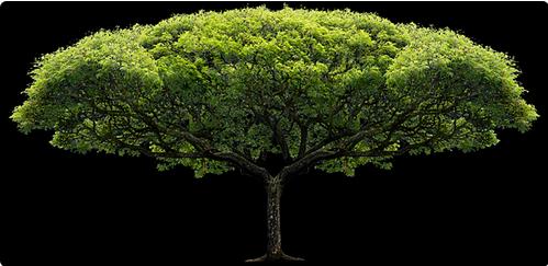 一寸照片尺寸多大