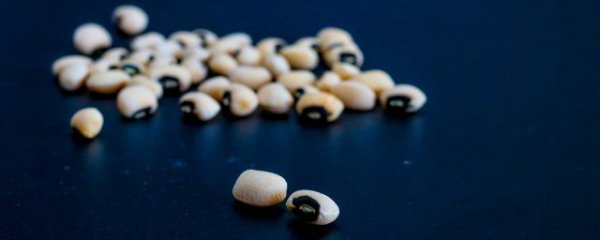 如何选购好的豆类