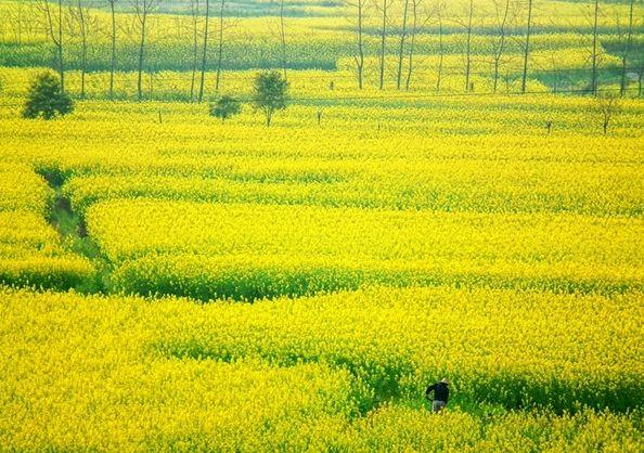 湖南南县属于哪个市管辖