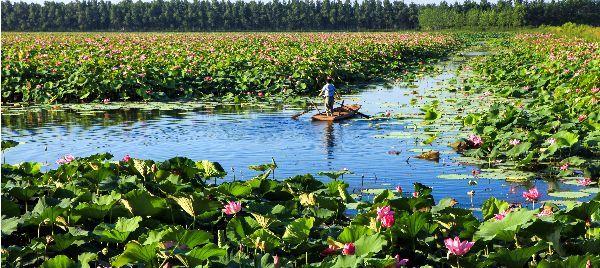 湖南南县属于哪个市管辖