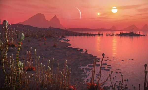 出相入相什么意思