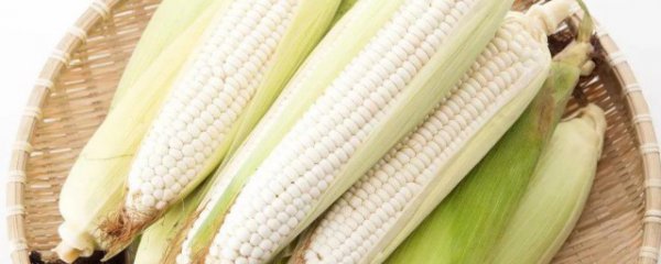 吃白玉米有什么好处