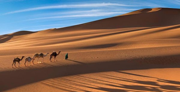 撒哈拉沙漠的面积是多少
