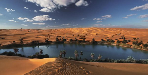 撒哈拉沙漠的面积是多少