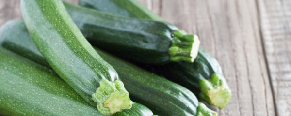 西葫芦饺子怎么做