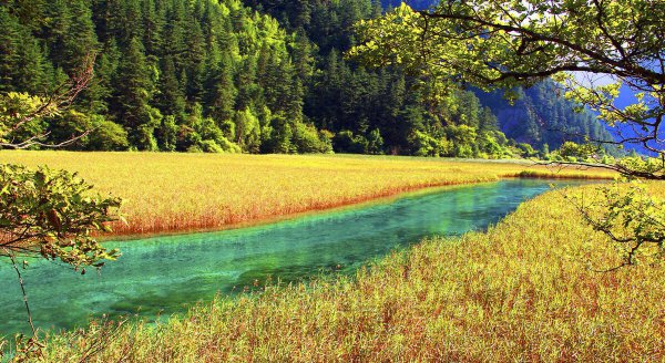 九寨沟海拔多少米