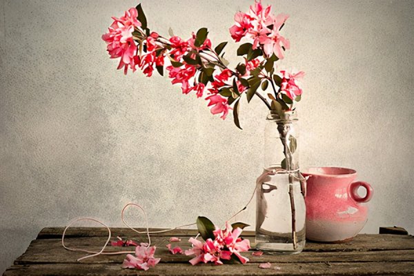 女生增旺桃花运的方法