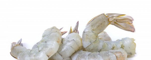 为什么低温能保持水产品的鲜度