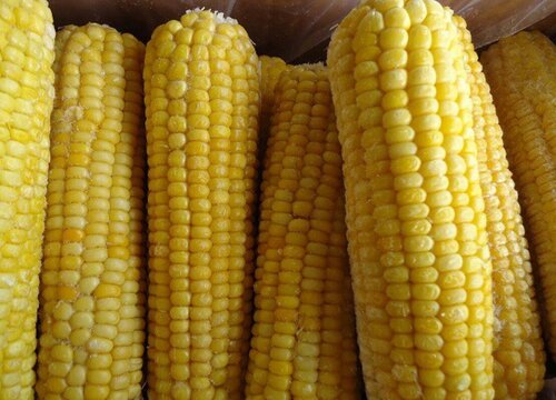 一根玉米相当几碗米饭热量