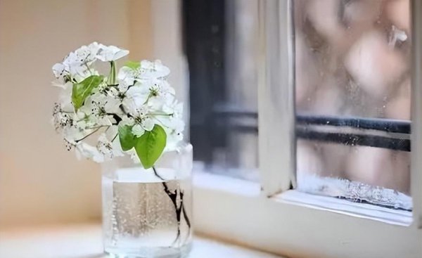 女人的气质指的是什么