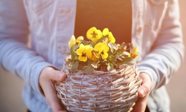 女人的气质指的是什么