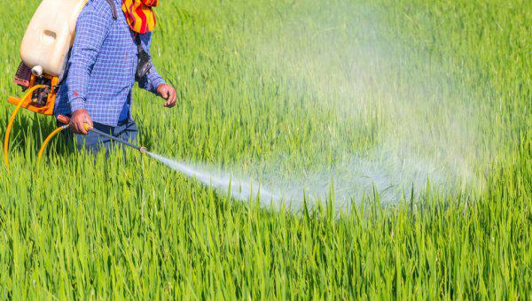 阿维菌素主要治什么虫效果最好