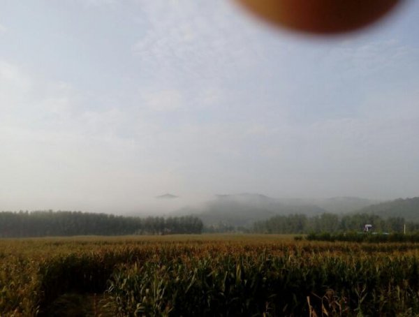 朝阳县属于哪个市管辖