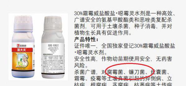 小麦茎基腐病是什么原因引起形成