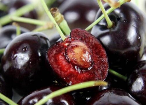 车厘子产地哪里最好吃