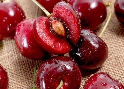 车厘子产地哪里最好吃