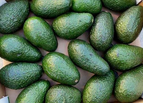 牛油果能放冰箱吗