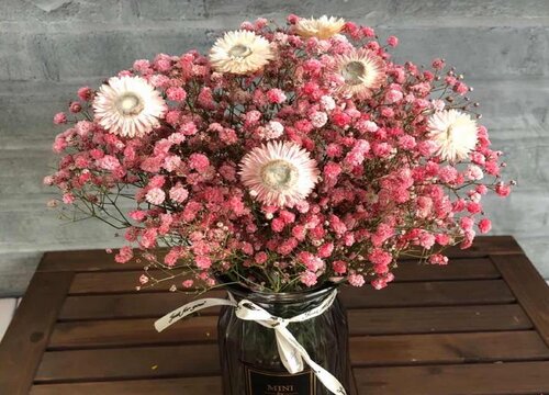 勿忘我怎么养成干花图片