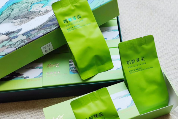 芽尖茶属于什么茶