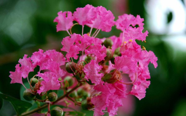 金牛座最喜欢哪个星座