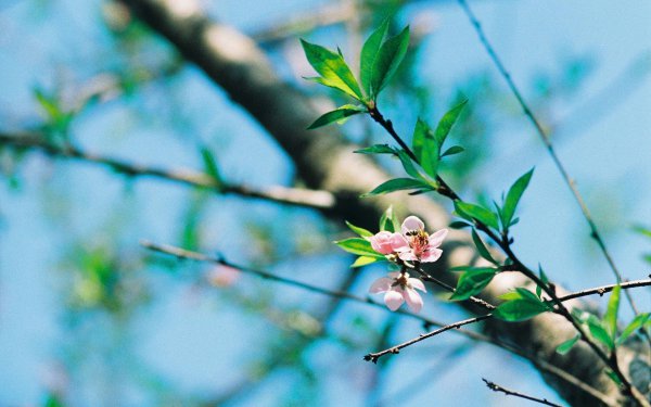 金牛座最喜欢哪个星座