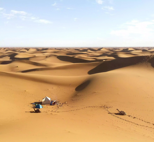 撒哈拉的沙漠的简介介绍