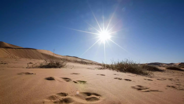 撒哈拉的沙漠的简介介绍