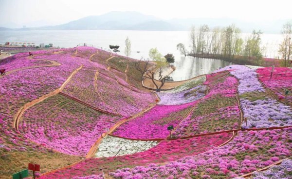 唐山属于几线城市