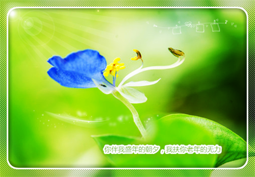 幸福指数是什么意思