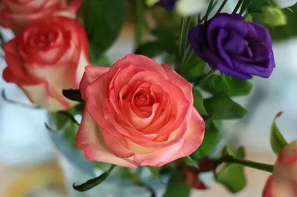 幸福指数是什么意思