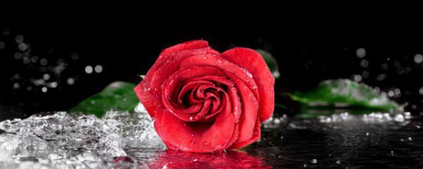 阳台种花能不能放东西