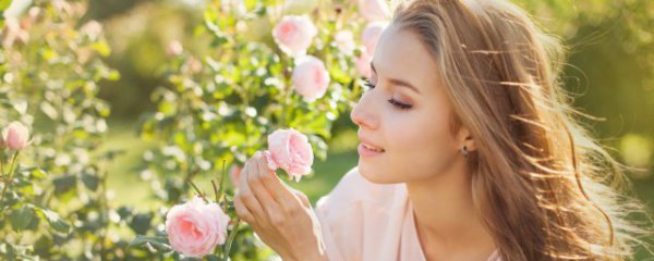 合川春天打卡景点有哪些