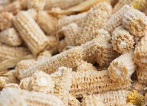 玉米芯种植平菇技术全过程资料