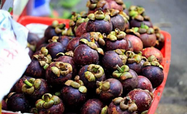 山竹是什么水果
