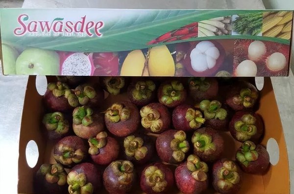 山竹是什么水果