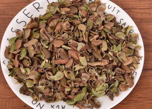 蚕豆壳可以做肥料吗