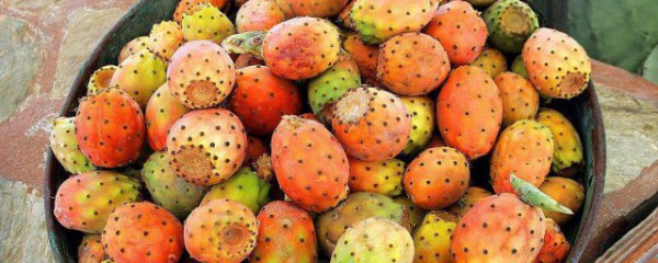 太阳果可以直接吃吗