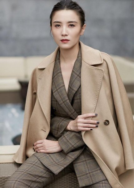 美商是什么意思