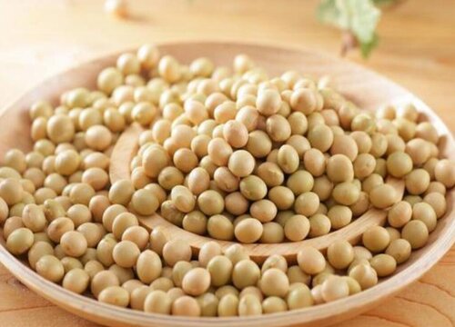 2023年1月份黄豆价格