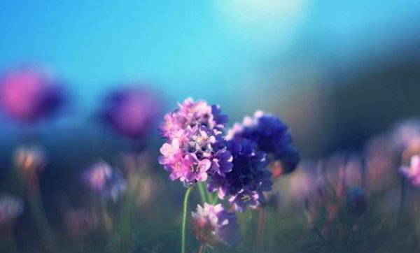 所谓的老好人是什么意思