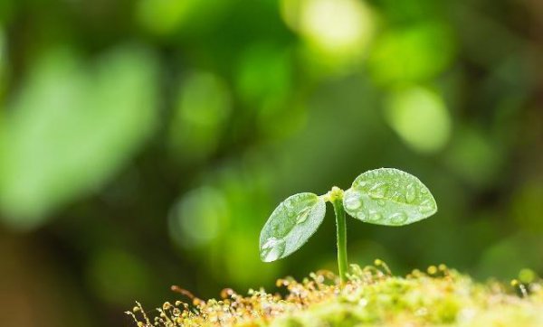 所谓的老好人是什么意思